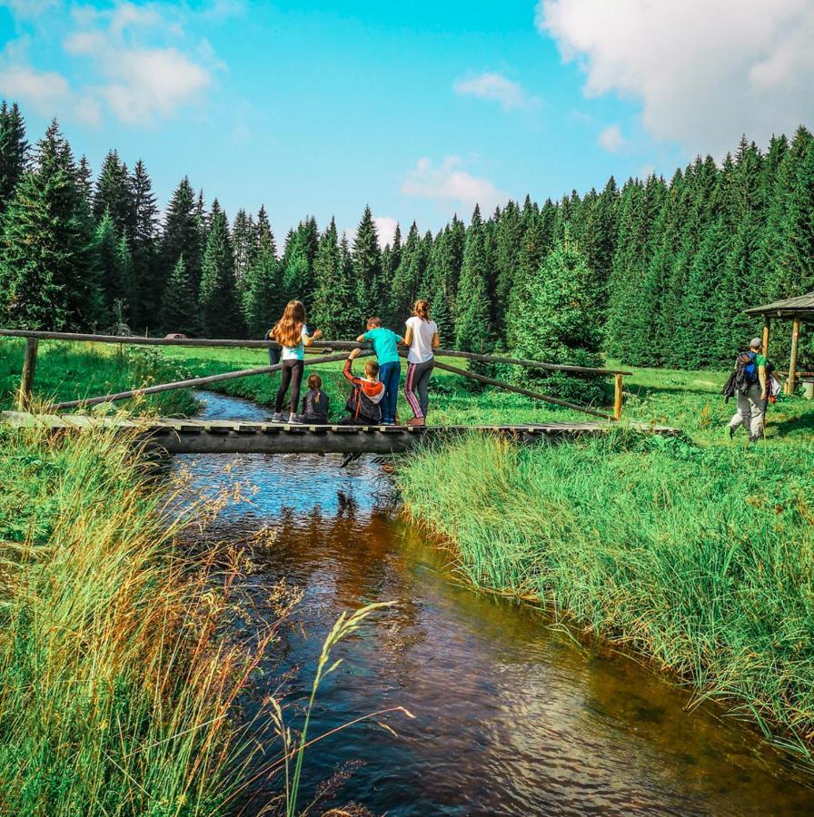 Apt In The Sky - Kopaonik Kraljevi Cardaci Zewnętrze zdjęcie